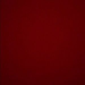 Meet your Posher, Paige